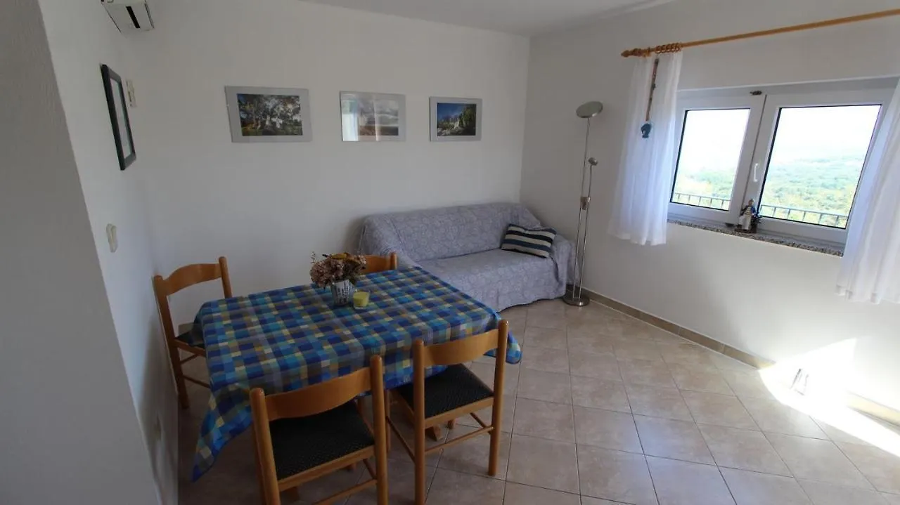 Guest house Apartments Damir Sveti Ivan Dobrinjski